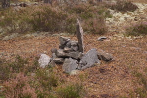 Hällmarksslingan 004.JPG