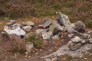 Hällmarksslingan 005.JPG