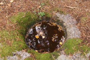 Hällmarksslingan 016.JPG