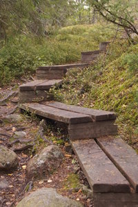 Hällmarksslingan 015.JPG