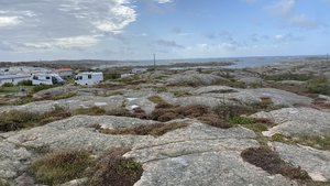 A364A92F-8271-49F1-B9B2-CA17838D9E25.jpeg A364A92F-8271-49F1-B9B2-CA17838D9E25.jpeg