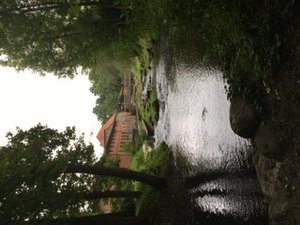 80866B4E-A543-422A-9170-1337F40D2C7E.jpeg 80866B4E-A543-422A-9170-1337F40D2C7E.jpeg