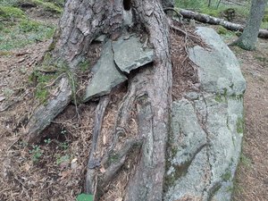 20200912_070936.jpg