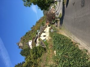 90F79B40-19FA-43DD-B0DB-C7530B2DAC68.jpeg 90F79B40-19FA-43DD-B0DB-C7530B2DAC68.jpeg