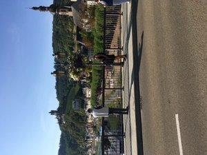 322D7485-B7E0-4C0C-BA2B-E609C1C95A1A.jpeg 322D7485-B7E0-4C0C-BA2B-E609C1C95A1A.jpeg