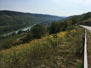 3C7DDB8A-E652-4B2A-AD6A-7641982D21A4.jpeg 3C7DDB8A-E652-4B2A-AD6A-7641982D21A4.jpeg