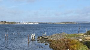 C4EAF1EF-CCE2-4B01-AE7E-B8D304E1EF81.jpeg C4EAF1EF-CCE2-4B01-AE7E-B8D304E1EF81.jpeg