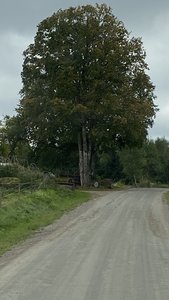 C6AE7700-3557-4585-8A65-C3BB5FD88A7F.jpeg C6AE7700-3557-4585-8A65-C3BB5FD88A7F.jpeg