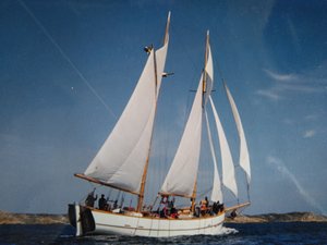 IMG_20200914_153517.jpg IMG_20200914_153517.jpg