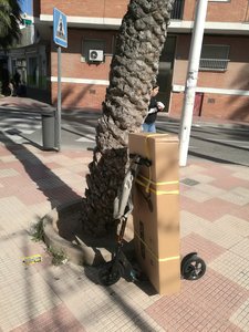 IMG_20190215_130938.jpg