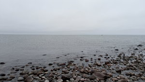 IMG_20200919_131418.jpg IMG_20200919_131418.jpg