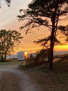 IMG_4939 (Medium).jpg