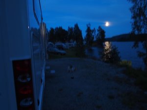 P7304038 (Medium).JPG