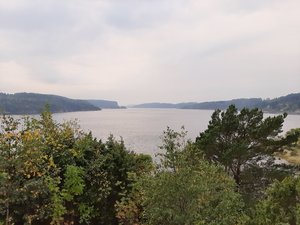 20200923_093838.jpg