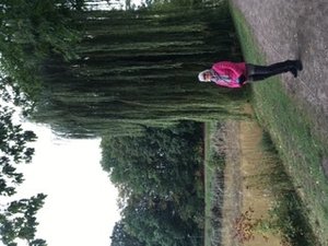 0D25B1D3-CC95-41E1-91FD-058D60667A7B.jpeg 0D25B1D3-CC95-41E1-91FD-058D60667A7B.jpeg