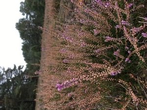 46941B4A-1E60-4F68-8034-01D419A77DC9.jpeg 46941B4A-1E60-4F68-8034-01D419A77DC9.jpeg