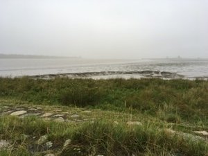 F92226FD-3624-4A1C-94BB-5D8B24EAE5DB.jpeg F92226FD-3624-4A1C-94BB-5D8B24EAE5DB.jpeg