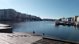 IMG_20200929_102428.jpg IMG_20200929_102428.jpg