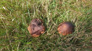 DSC_0081_3_copy_4488x2525.jpg DSC_0081_3_copy_4488x2525.jpg