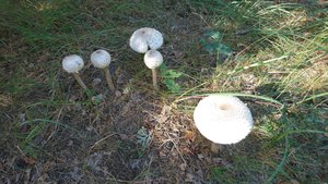 DSC_0082_2_copy_4488x2525_1.jpg DSC_0082_2_copy_4488x2525_1.jpg