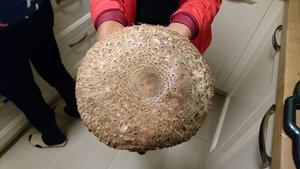 DSC_0028_copy_4488x2525.jpg DSC_0028_copy_4488x2525.jpg