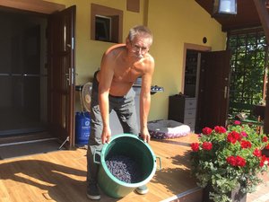 received_2865504740335062.jpeg received_2865504740335062.jpeg