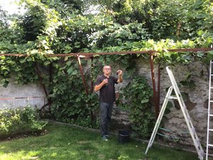 received_687788548803138.jpeg received_687788548803138.jpeg