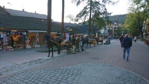 DSC_0059_copy_4488x2525.jpg DSC_0059_copy_4488x2525.jpg