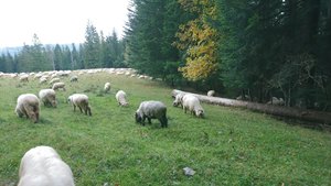 DSC_0143_copy_2393x1346.jpg DSC_0143_copy_2393x1346.jpg