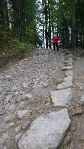 DSC_0127_copy_841x1495.jpg DSC_0127_copy_841x1495.jpg