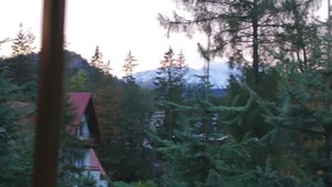 DSC_0206_2_copy_2393x1346.jpg DSC_0206_2_copy_2393x1346.jpg