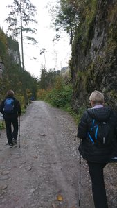 DSC_0219_2_copy_1346x2393.jpg DSC_0219_2_copy_1346x2393.jpg