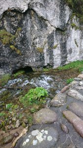 DSC_0229_2_copy_1346x2393.jpg DSC_0229_2_copy_1346x2393.jpg