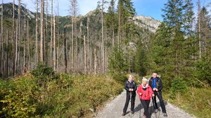 DSC_0234_2_copy_2393x1346.jpg DSC_0234_2_copy_2393x1346.jpg