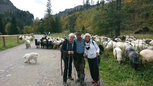 DSC_0242_2_copy_2393x1346.jpg DSC_0242_2_copy_2393x1346.jpg