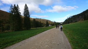 DSC_0243_2_copy_2393x1346.jpg DSC_0243_2_copy_2393x1346.jpg