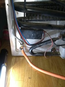 IMG_20201010_104211058.jpg IMG_20201010_104211058.jpg