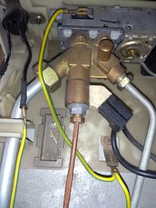 IMG_20201010_104201000.jpg IMG_20201010_104201000.jpg