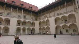 DSC_0017_9_copy_2393x1346.jpg DSC_0017_9_copy_2393x1346.jpg