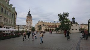 DSC_0067_5_copy_2393x1346.jpg DSC_0067_5_copy_2393x1346.jpg