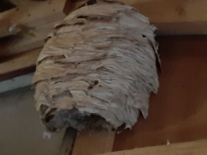 20201018_124731.jpg