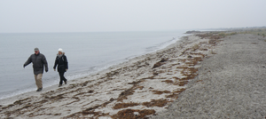 1603886880030.png 1603886880030.png