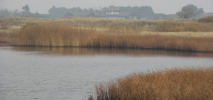 1603899561766.png 1603899561766.png