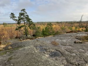20201029_103444.jpg