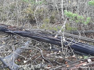 20201029_105920.jpg