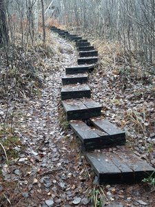 20201029_112453.jpg