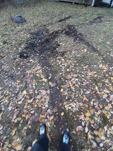 20201102_152810.jpg