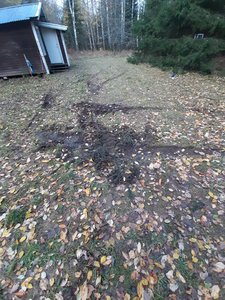 20201102_152838.jpg