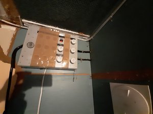 20201104_072538.jpg