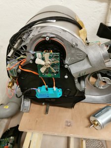 2020-10-29 15.40.42.jpg